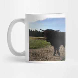 Scottish Highland Cattle Bull 1497 Mug